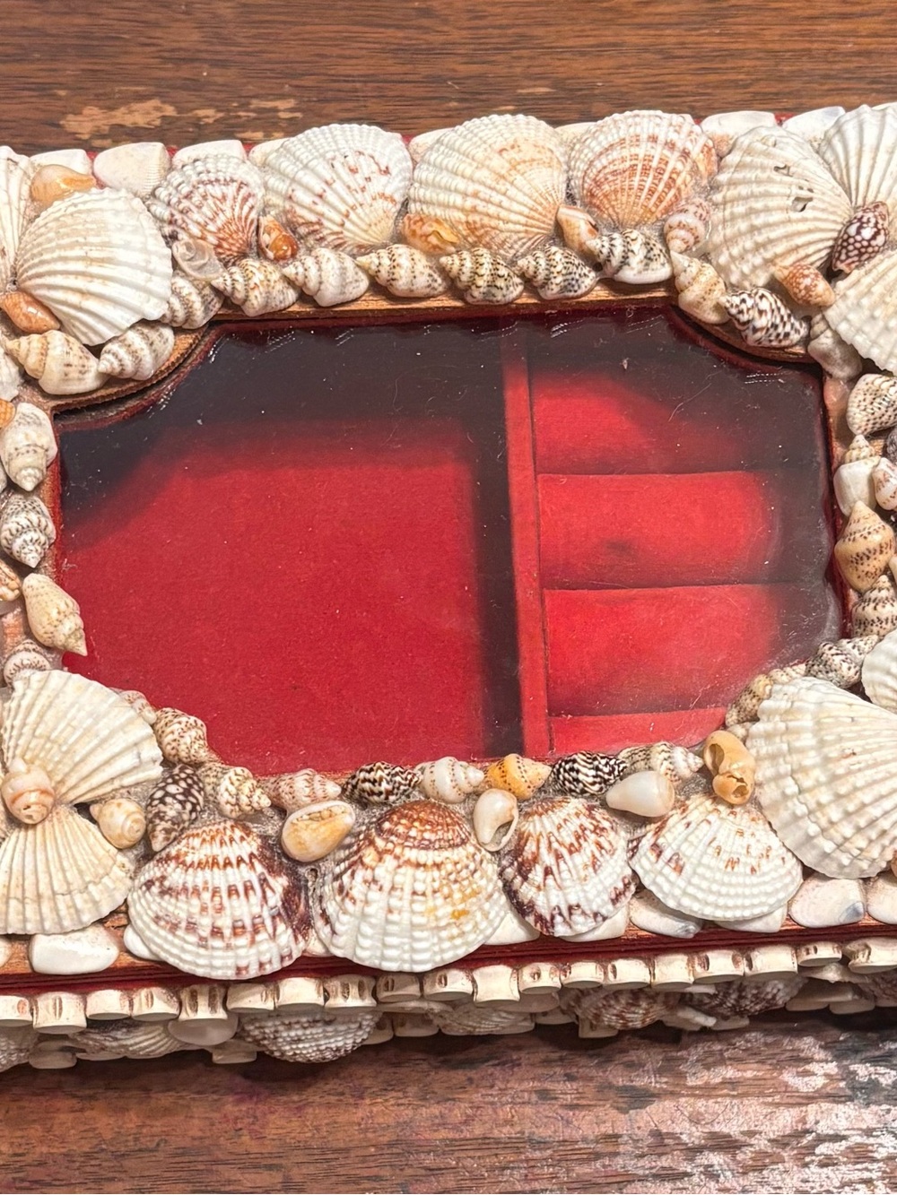 Vintage Seashell Decorative Jewelry Box - Natural White Shells